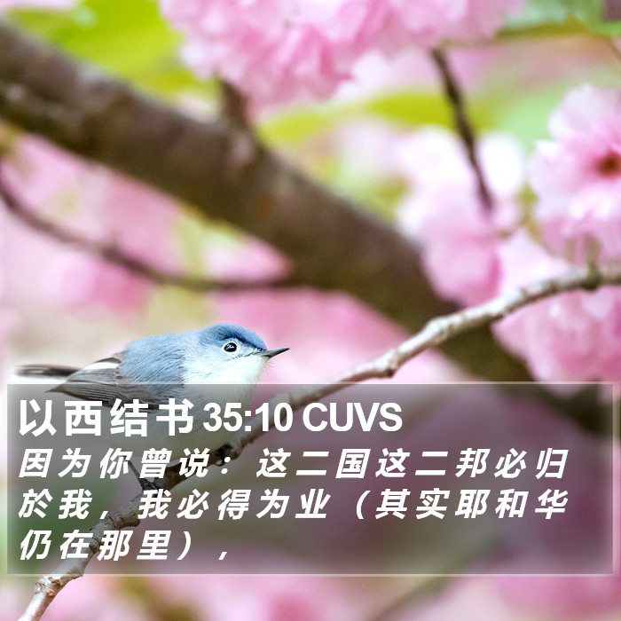 以 西 结 书 35:10 CUVS Bible Study