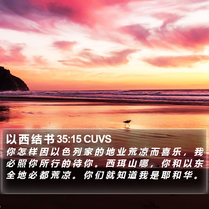 以 西 结 书 35:15 CUVS Bible Study