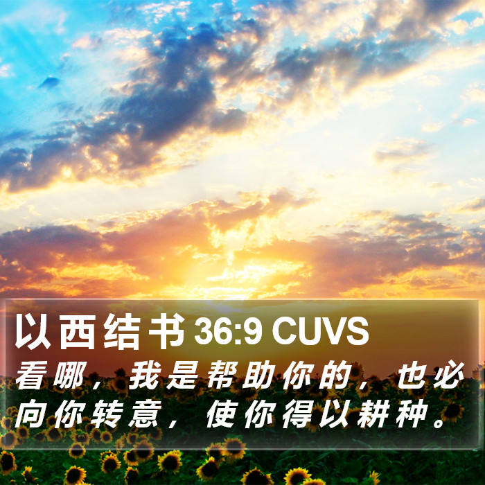 以 西 结 书 36:9 CUVS Bible Study