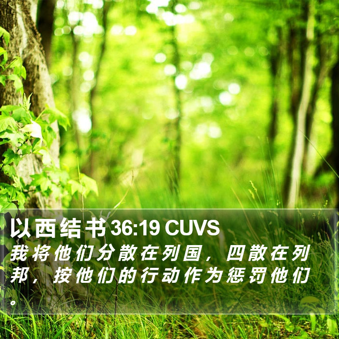以 西 结 书 36:19 CUVS Bible Study