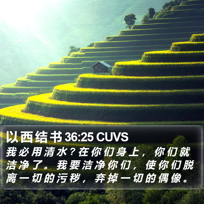 以 西 结 书 36:25 CUVS Bible Study