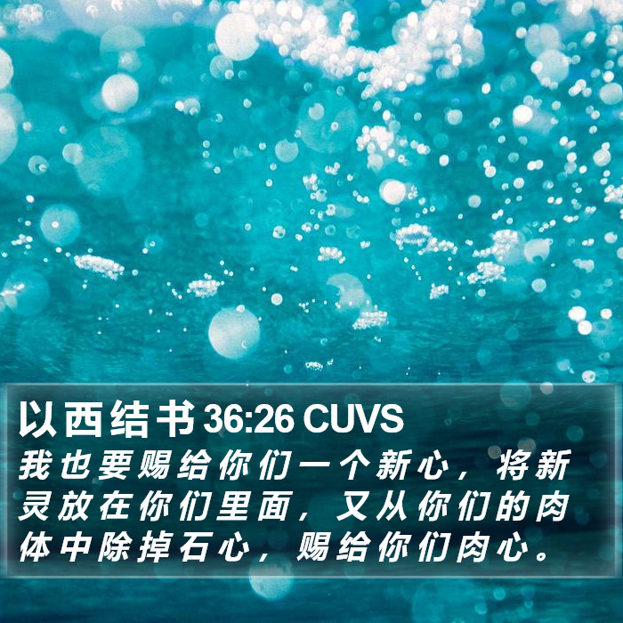 以 西 结 书 36:26 CUVS Bible Study