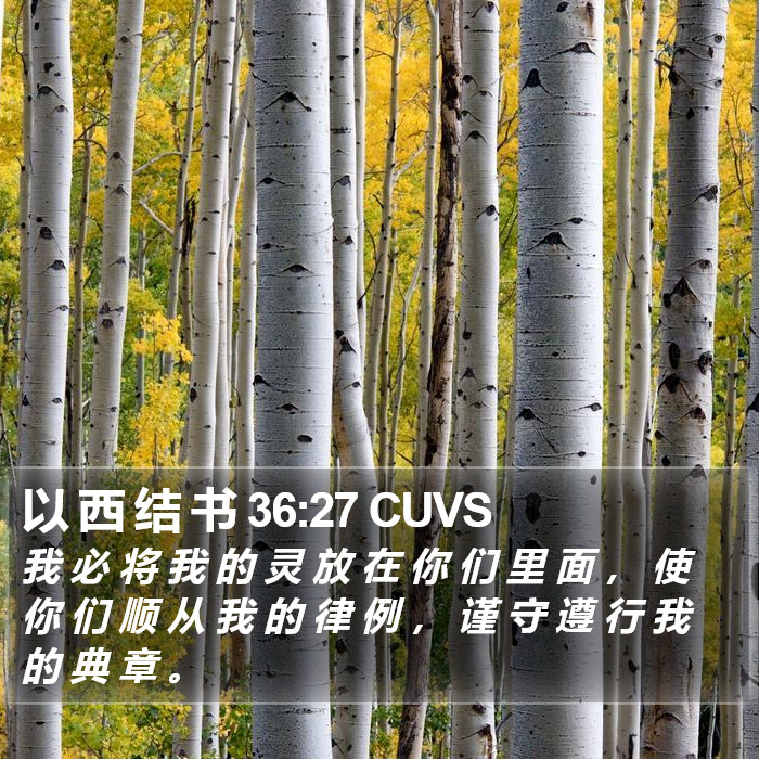 以 西 结 书 36:27 CUVS Bible Study