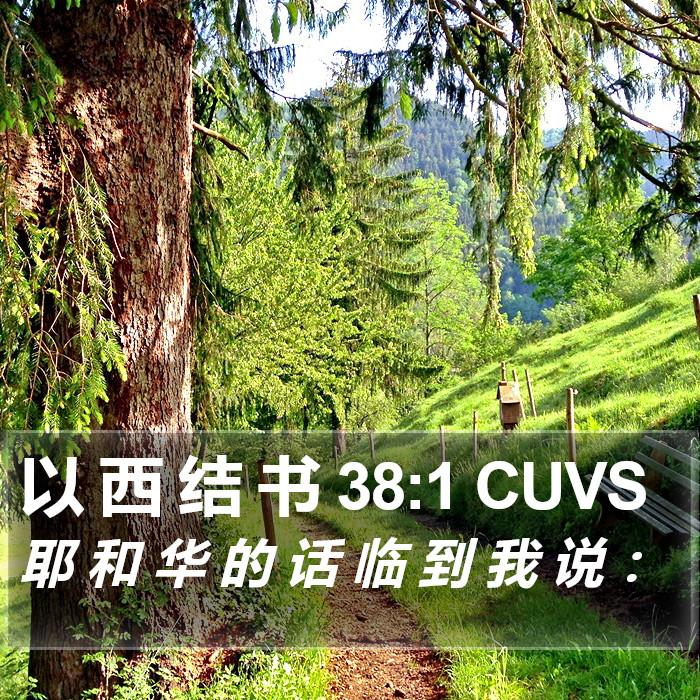 以 西 结 书 38:1 CUVS Bible Study