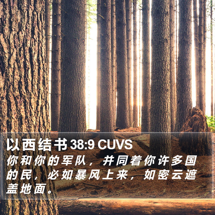 以 西 结 书 38:9 CUVS Bible Study