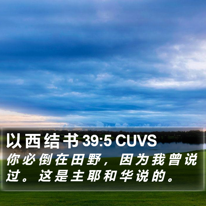 以 西 结 书 39:5 CUVS Bible Study