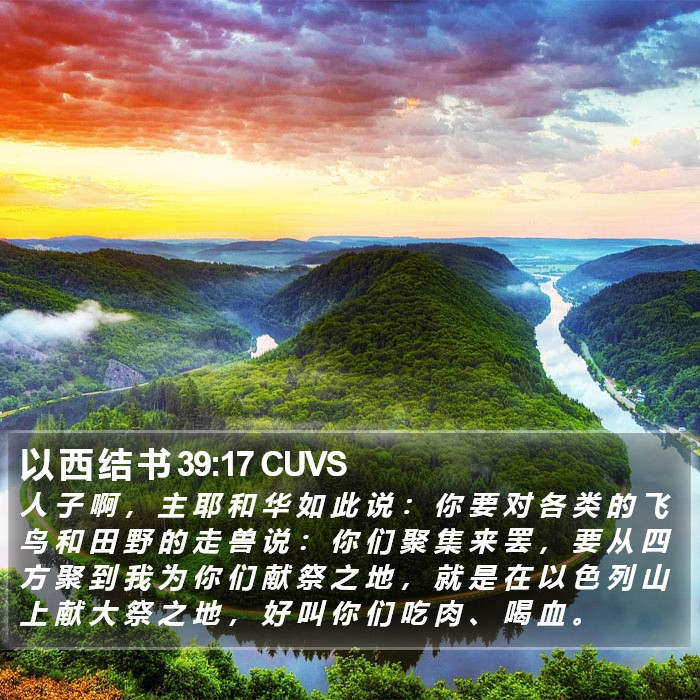 以 西 结 书 39:17 CUVS Bible Study