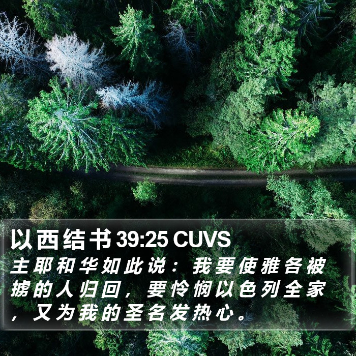以 西 结 书 39:25 CUVS Bible Study