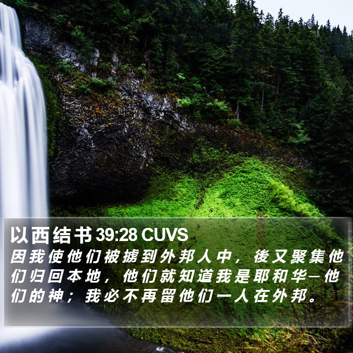 以 西 结 书 39:28 CUVS Bible Study