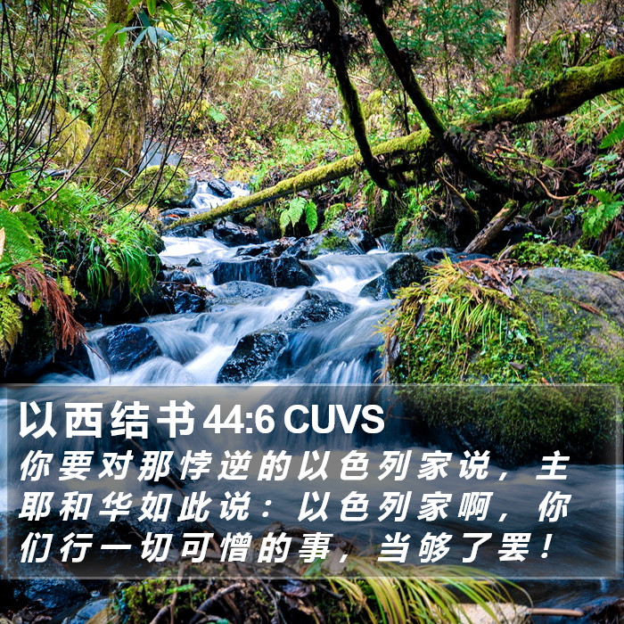 以 西 结 书 44:6 CUVS Bible Study
