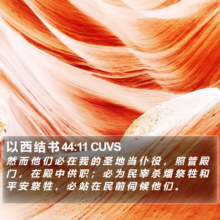以 西 结 书 44:11 CUVS Bible Study