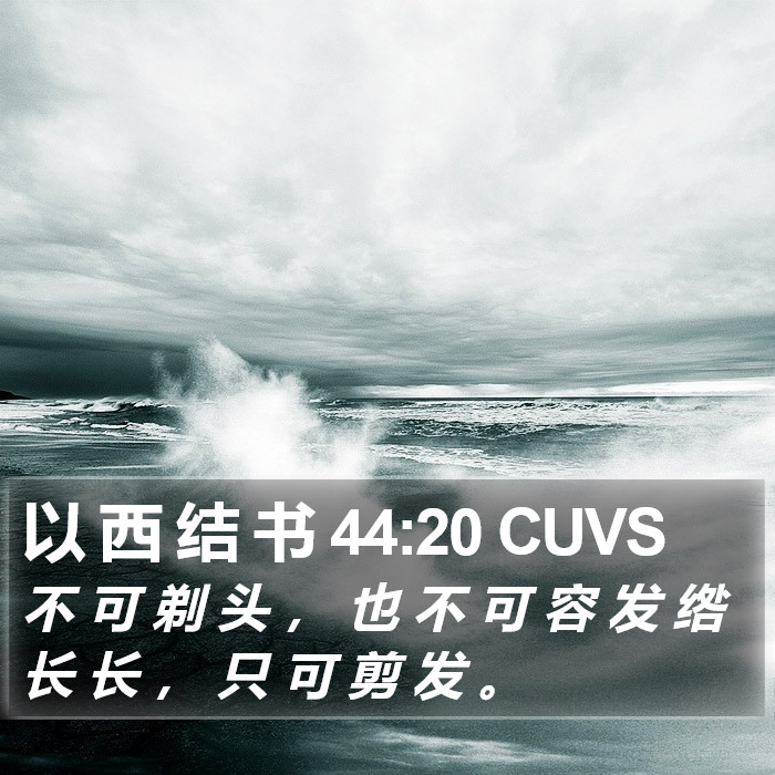 以 西 结 书 44:20 CUVS Bible Study