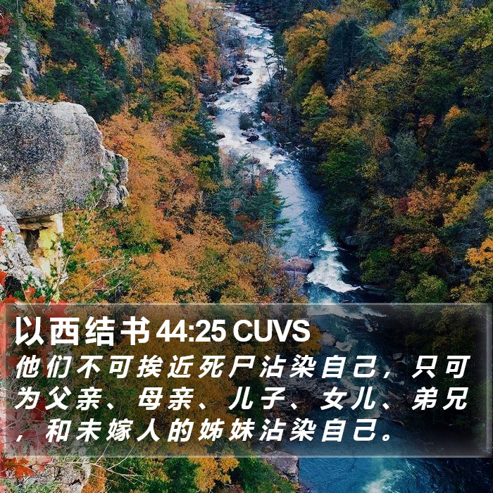 以 西 结 书 44:25 CUVS Bible Study
