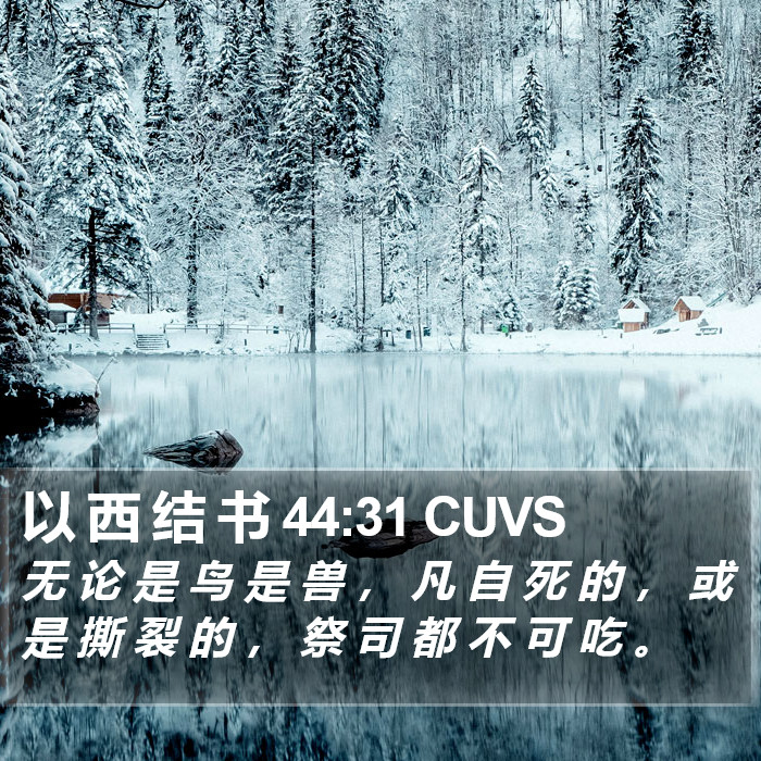 以 西 结 书 44:31 CUVS Bible Study