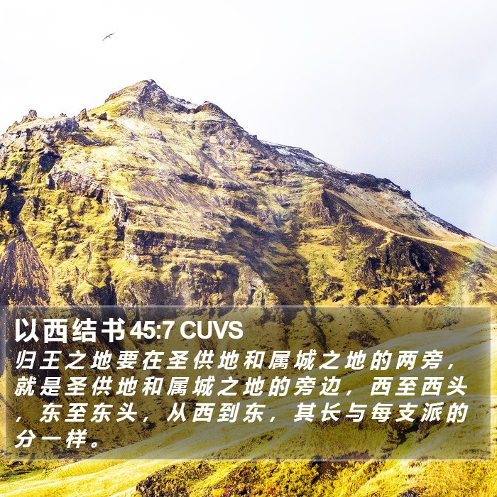 以 西 结 书 45:7 CUVS Bible Study