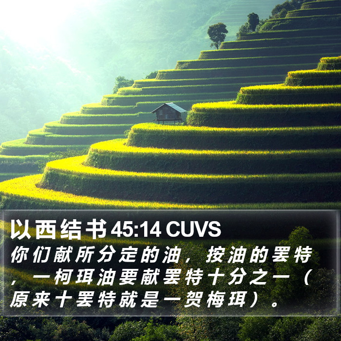 以 西 结 书 45:14 CUVS Bible Study