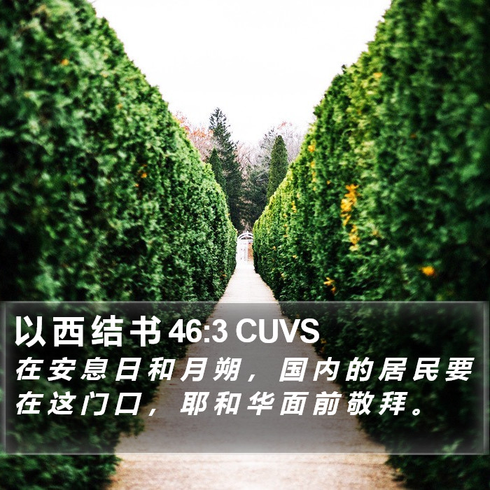 以 西 结 书 46:3 CUVS Bible Study