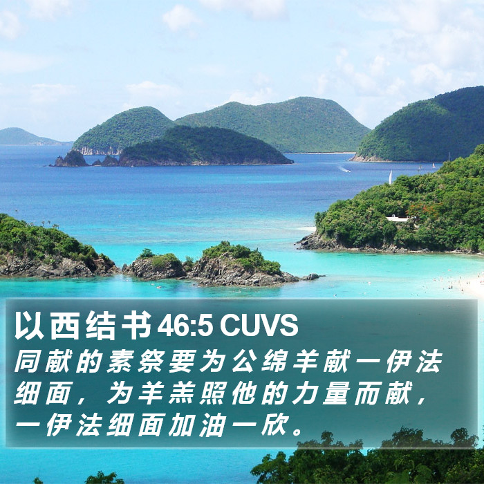 以 西 结 书 46:5 CUVS Bible Study