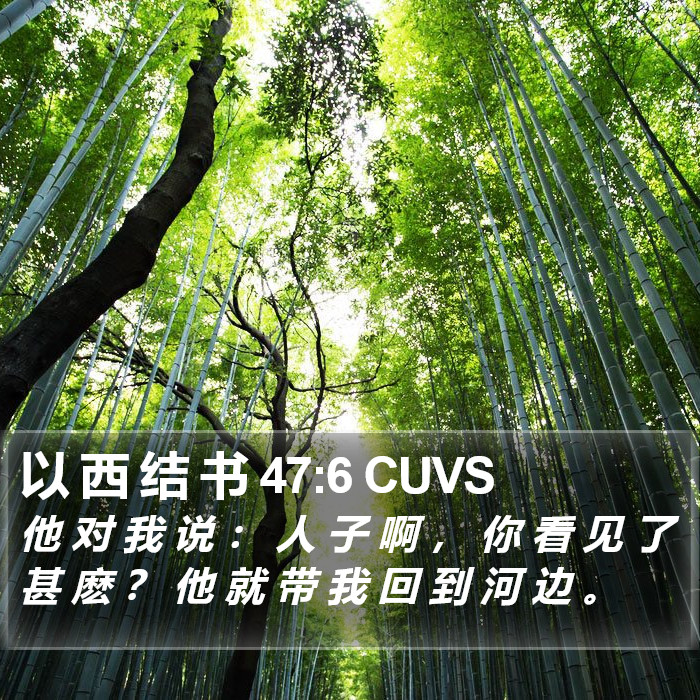 以 西 结 书 47:6 CUVS Bible Study