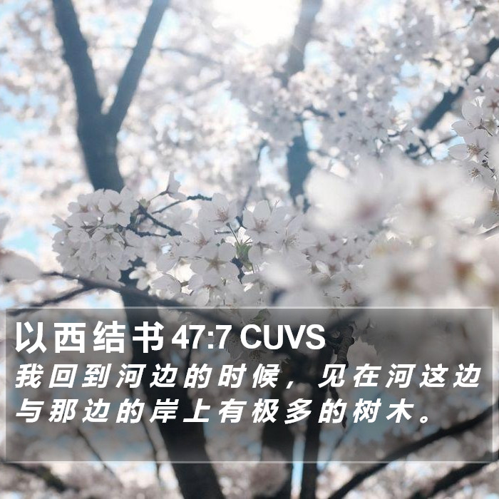 以 西 结 书 47:7 CUVS Bible Study