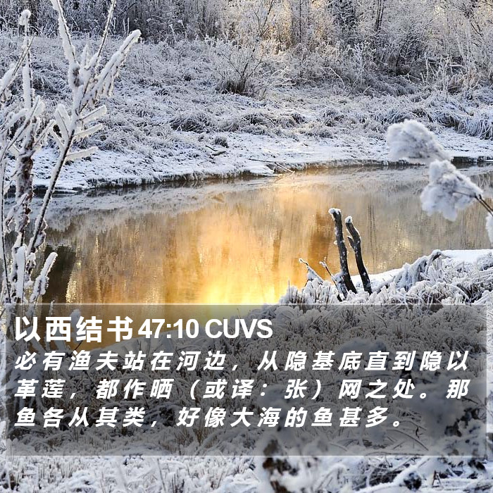 以 西 结 书 47:10 CUVS Bible Study