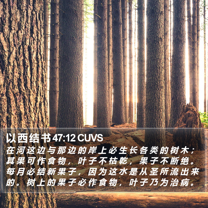 以 西 结 书 47:12 CUVS Bible Study