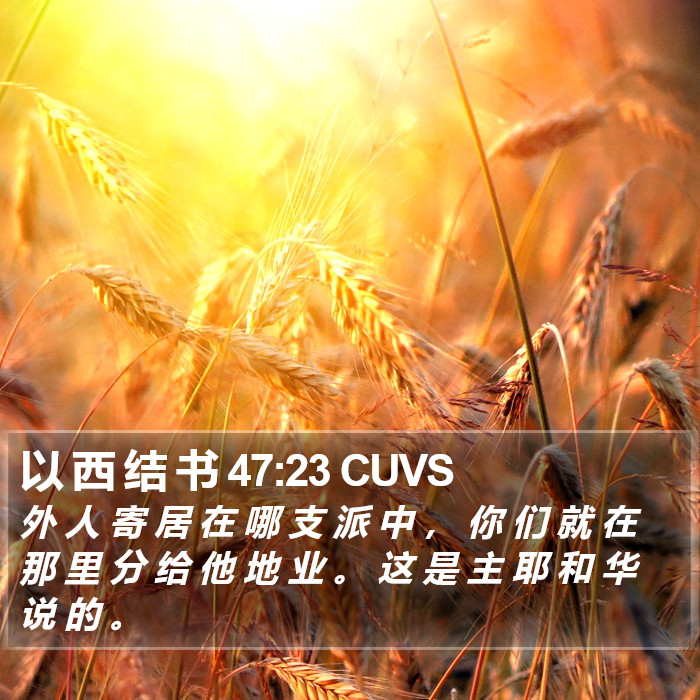 以 西 结 书 47:23 CUVS Bible Study