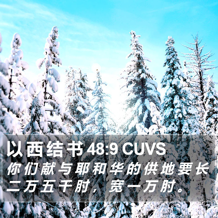 以 西 结 书 48:9 CUVS Bible Study