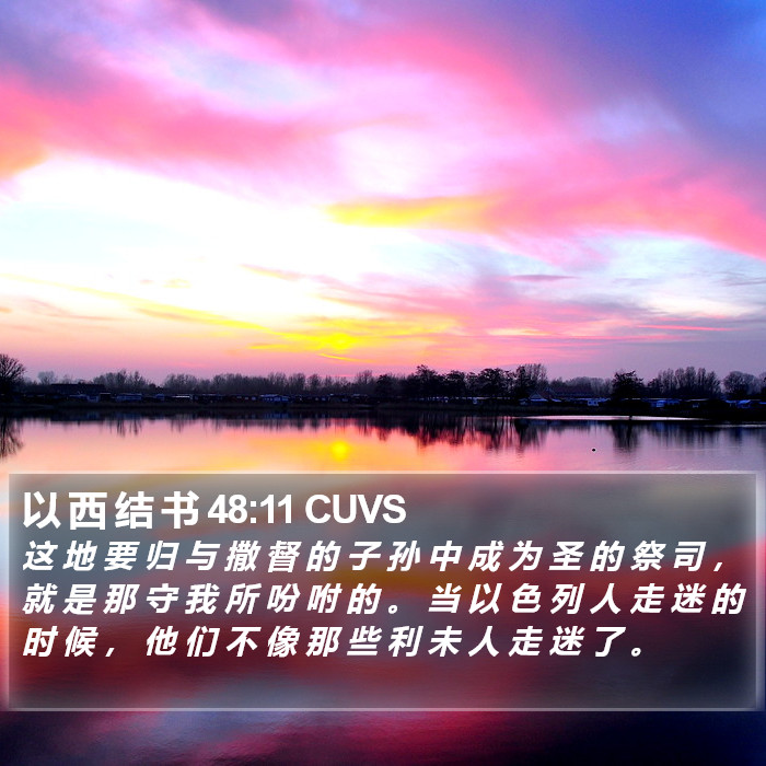 以 西 结 书 48:11 CUVS Bible Study