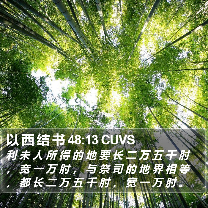 以 西 结 书 48:13 CUVS Bible Study