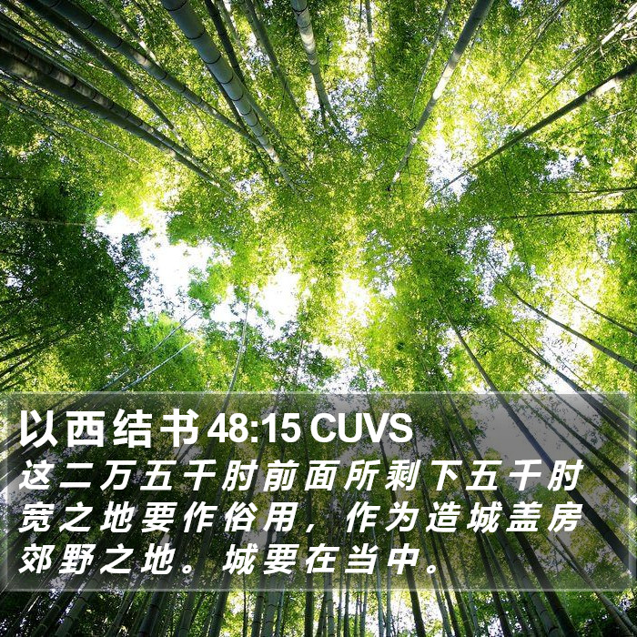 以 西 结 书 48:15 CUVS Bible Study