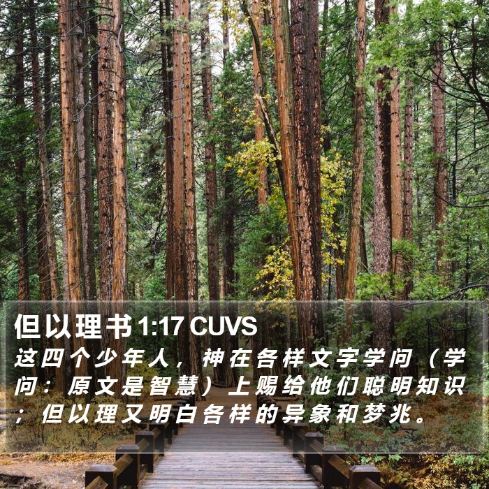 但 以 理 书 1:17 CUVS Bible Study