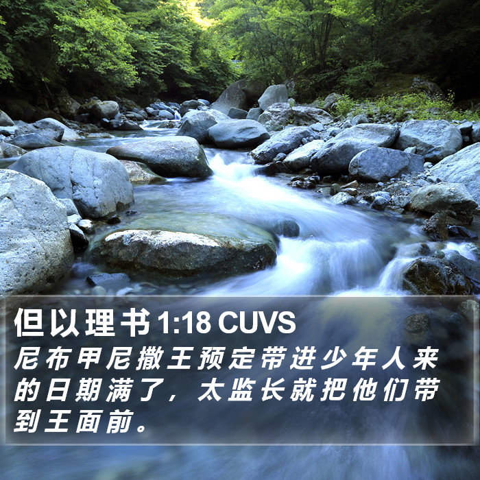 但 以 理 书 1:18 CUVS Bible Study