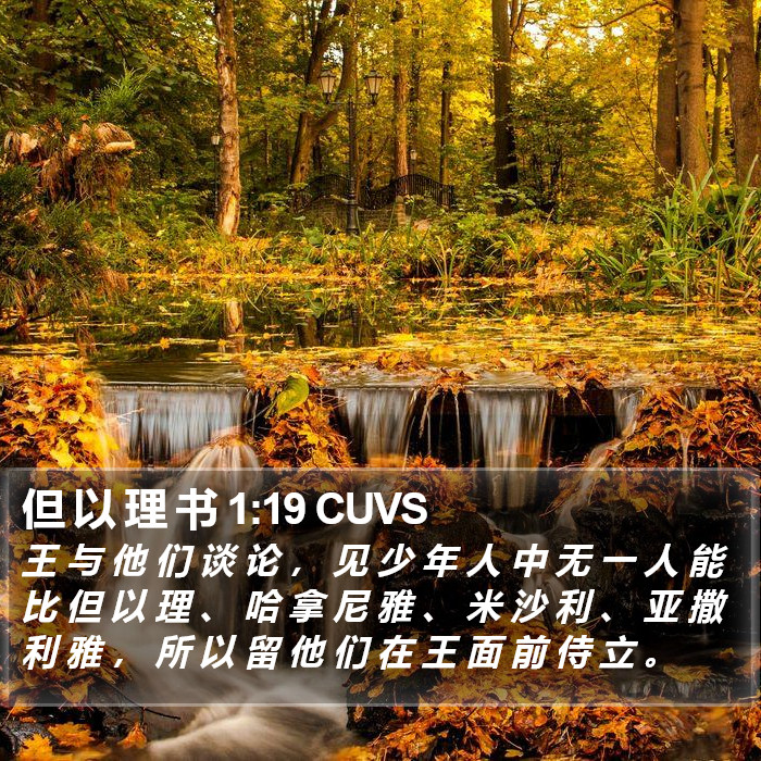 但 以 理 书 1:19 CUVS Bible Study