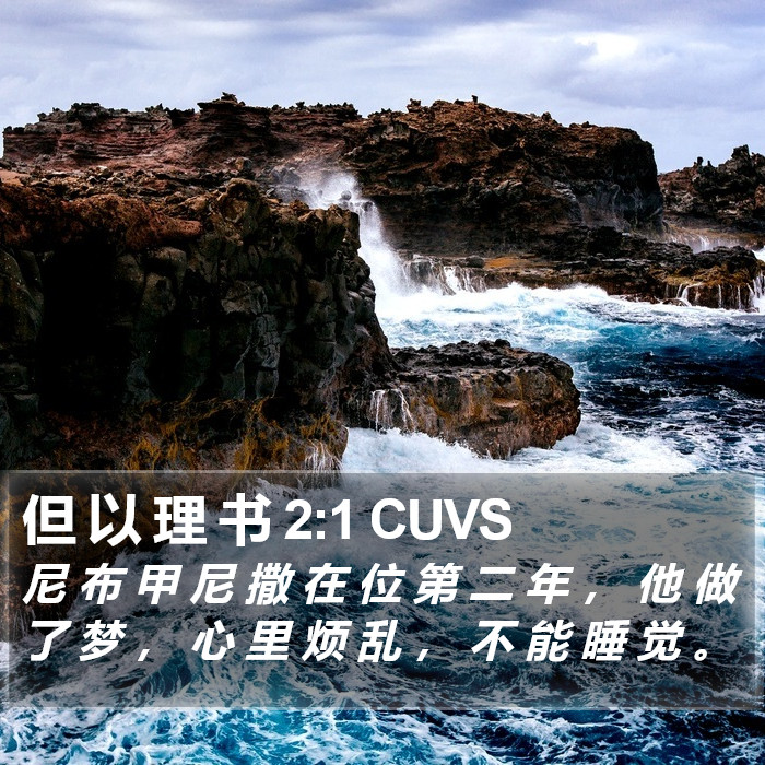 但 以 理 书 2:1 CUVS Bible Study