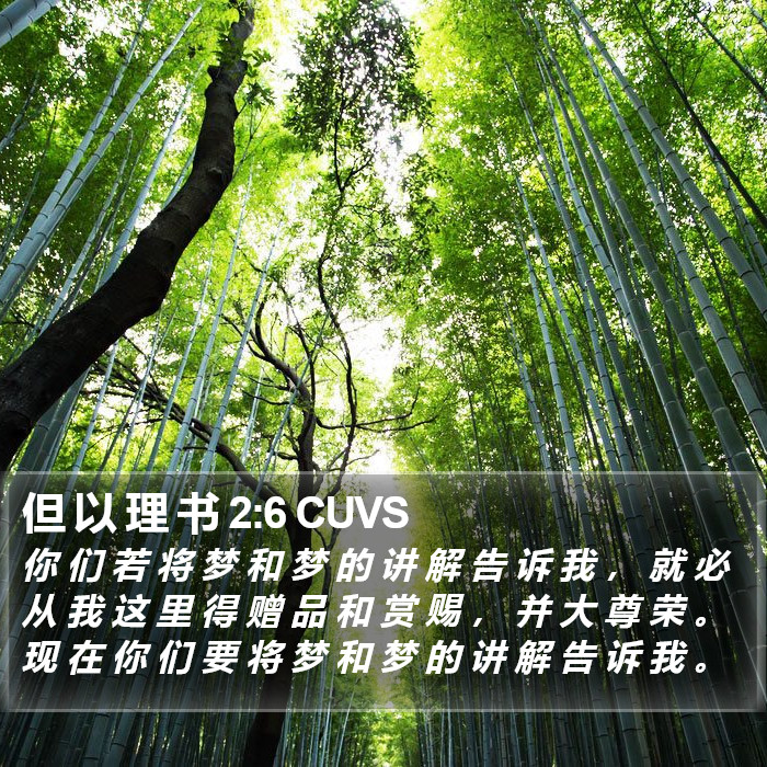 但 以 理 书 2:6 CUVS Bible Study