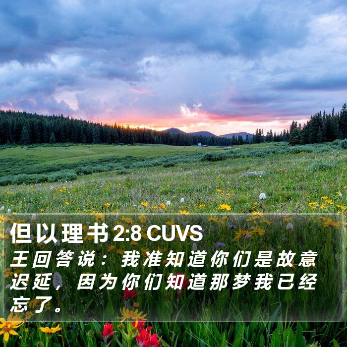 但 以 理 书 2:8 CUVS Bible Study