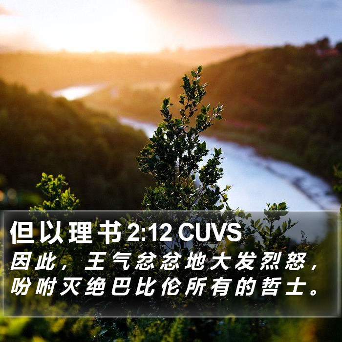 但 以 理 书 2:12 CUVS Bible Study