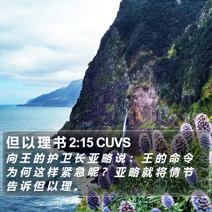 但 以 理 书 2:15 CUVS Bible Study