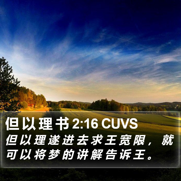 但 以 理 书 2:16 CUVS Bible Study