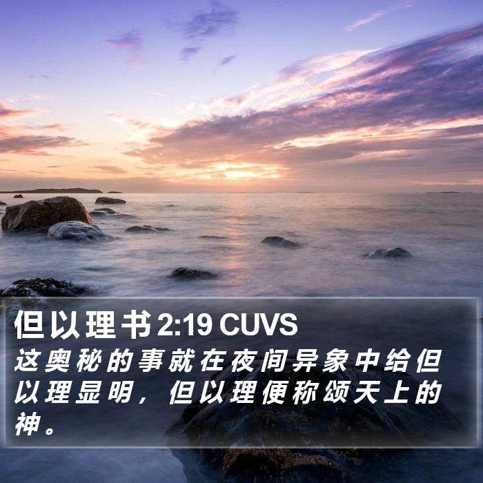 但 以 理 书 2:19 CUVS Bible Study