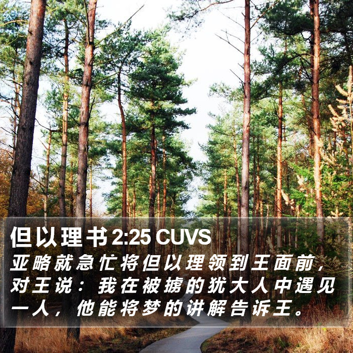 但 以 理 书 2:25 CUVS Bible Study