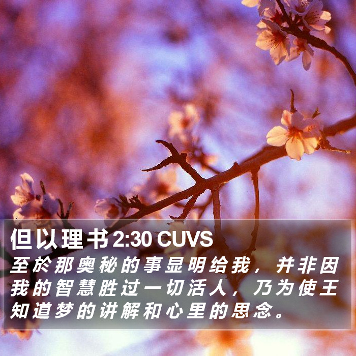 但 以 理 书 2:30 CUVS Bible Study