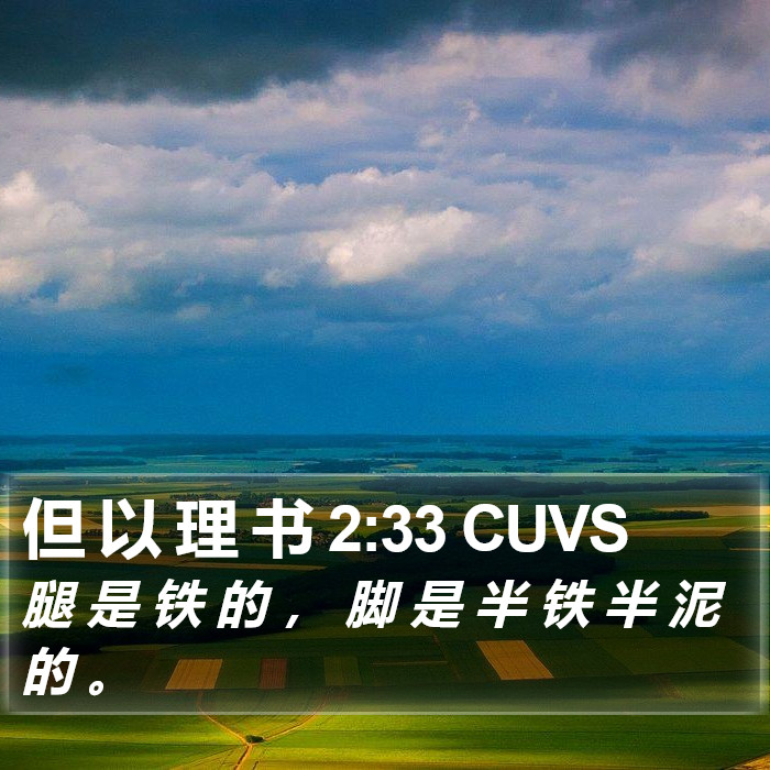 但 以 理 书 2:33 CUVS Bible Study