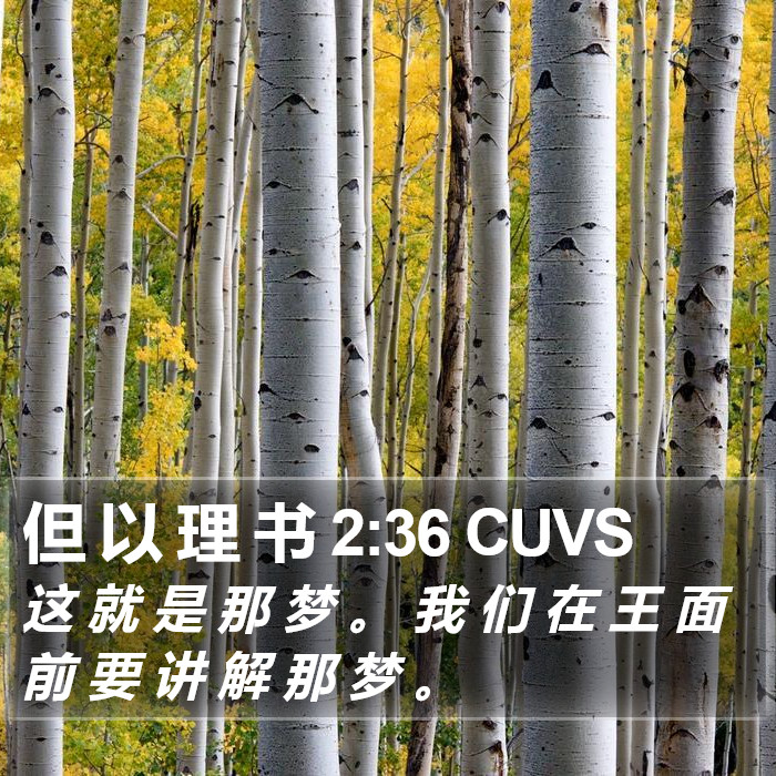 但 以 理 书 2:36 CUVS Bible Study