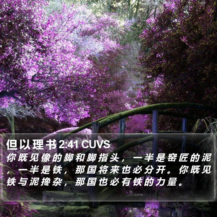 但 以 理 书 2:41 CUVS Bible Study