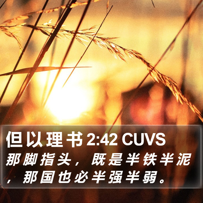 但 以 理 书 2:42 CUVS Bible Study