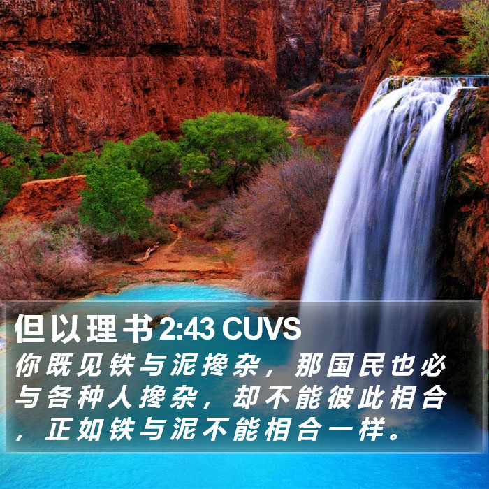 但 以 理 书 2:43 CUVS Bible Study