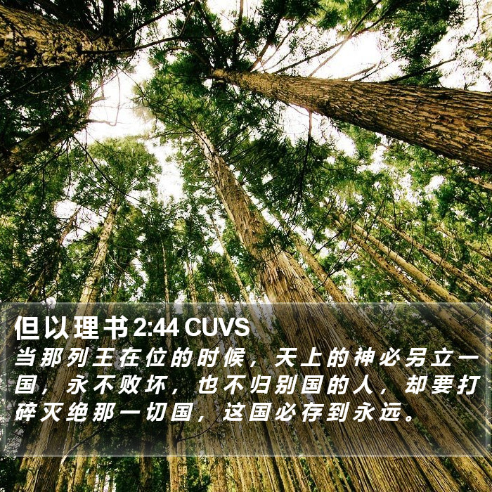 但 以 理 书 2:44 CUVS Bible Study