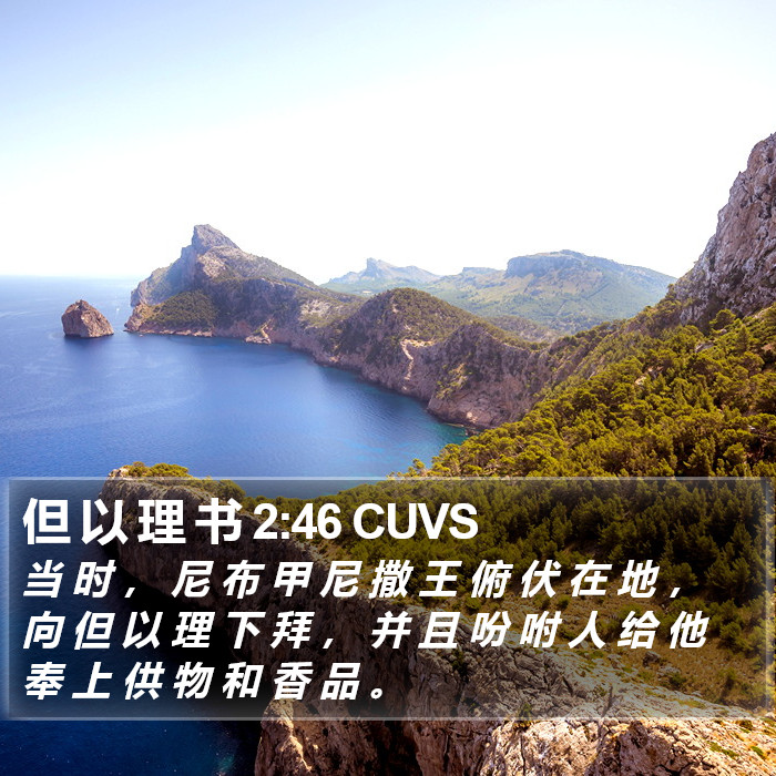 但 以 理 书 2:46 CUVS Bible Study